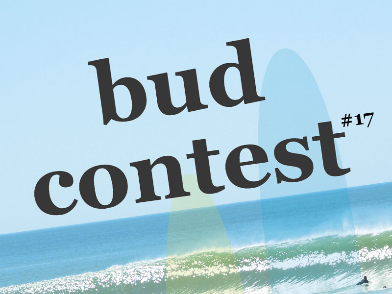 affiche budcontest surf vendee